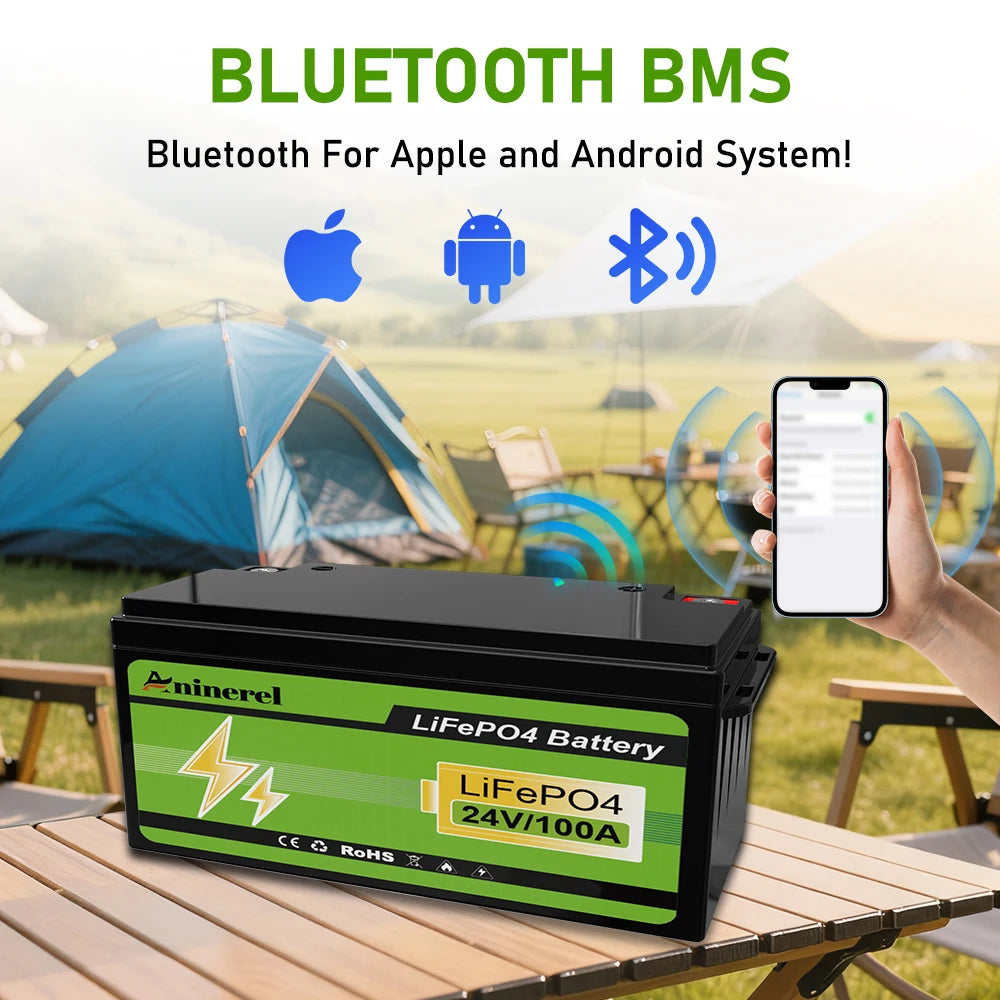 Aninerel 12V 300AH 3840Wh LiFePO4 Lithium Battery With 100A BMS Perfect for RV Golf Cart Solar Power System  Home